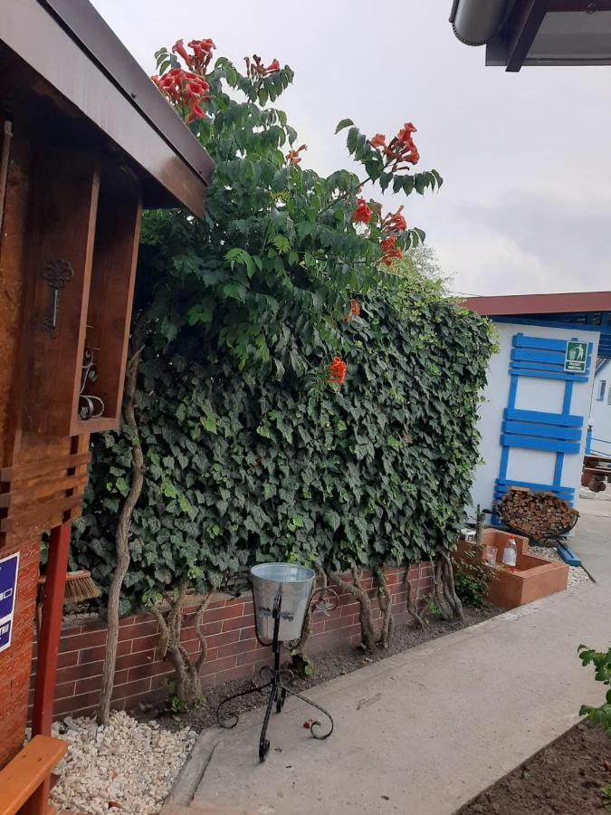 Complex Turistic Essenza Hotell Murighiol Exteriör bild