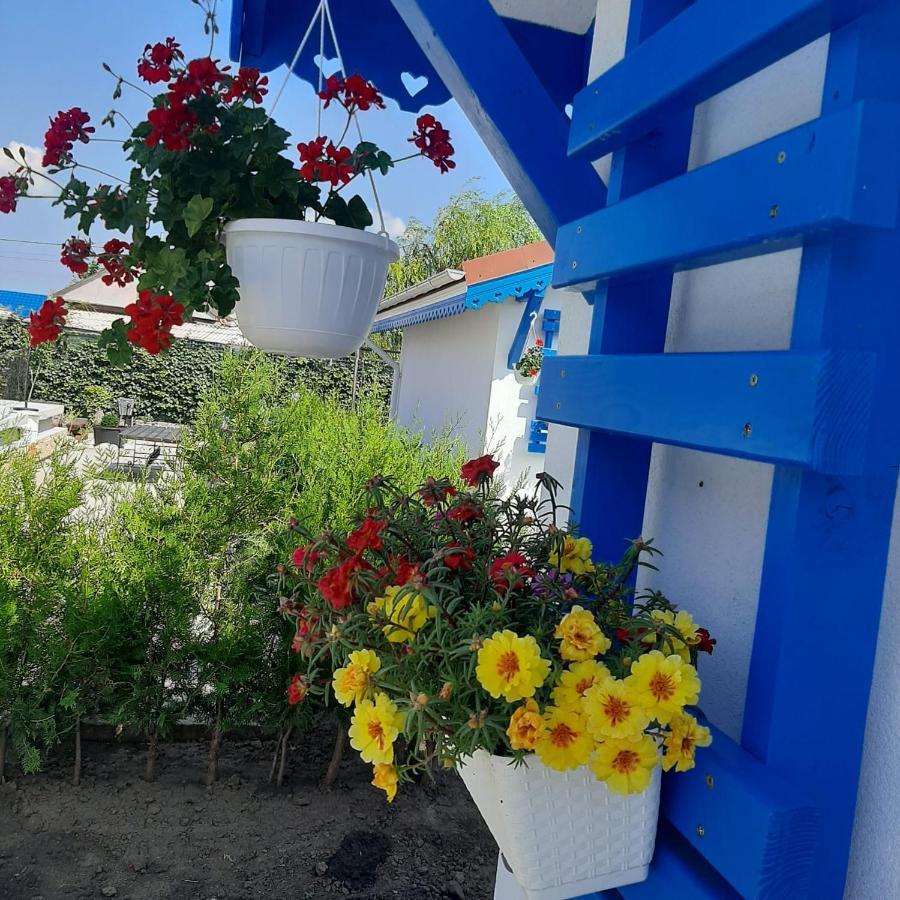 Complex Turistic Essenza Hotell Murighiol Exteriör bild